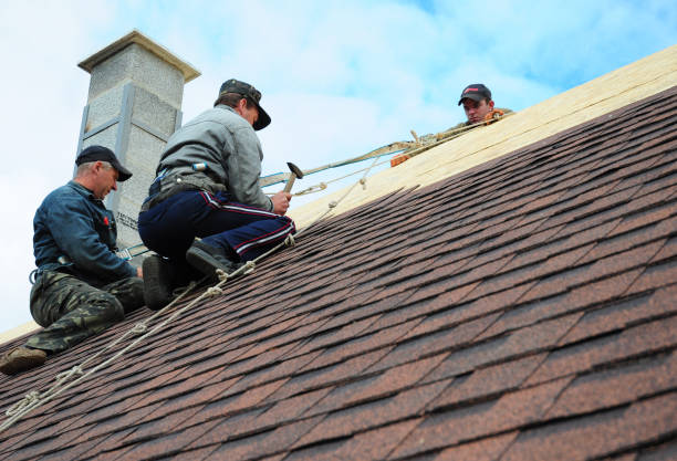 Quick and Trustworthy Emergency Roof Repair Services in New Lenox, IL